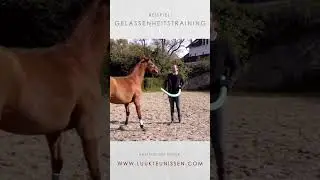 Pferdeausbildung pferdetraining Natural Horsemanship