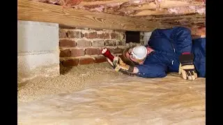 Free Termite Inspection In Colts Neck 732-349-0559 Ozane Termite And Pest Control