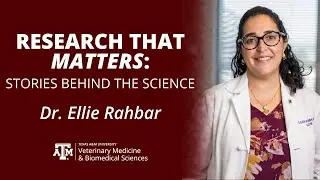 Research That Matters: Dr. Ellie Rahbar - Reshaping Care For Traumatic Injuries