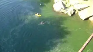 Bull Run Drunk Jump