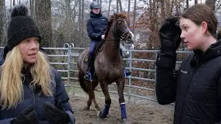 Riskanter Fremdreitertest im Roundpen &ndash; Trainerin muss ausgetauscht werden | reiten lernen