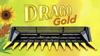 Olimac Drago Gold - ITA