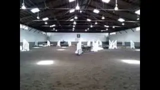 Hunter/Jumper Prospect for sale