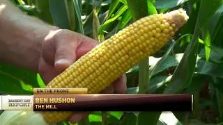 The Mill: RFD TV Market Day Report 8/8