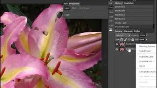 Painting on a layer mask: Filters