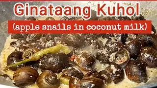 Ginataang Kuhol | Apple Snails in Coconut Milk