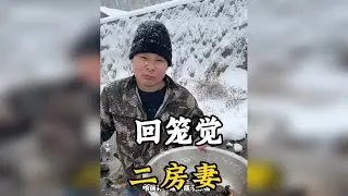 东北蛤蟆