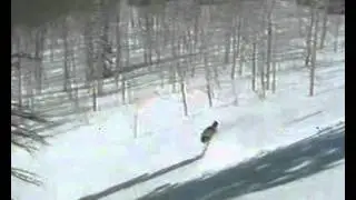 Winterstick Roundtail