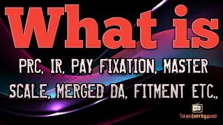 WHAT IS PRC, IR, FITMENT, MASTER SCALE, NOTIONAL FIXATION, MERGED DA?