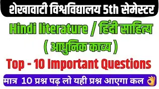 hindi literature ba 5th semester important question 