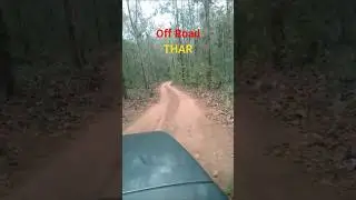 നീ ഇനി മിണ്ടണ്ട|പേടിച്ച് തൂ.. #offroad#thar #forest #journey