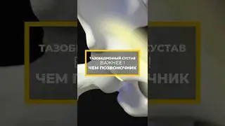 ЭТОТ СУСТАВ ВАЖНЕЕ, ЧЕМ ПОЗВОНОЧНИК