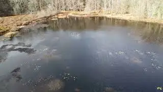 Drone Flight Over Lost Lake