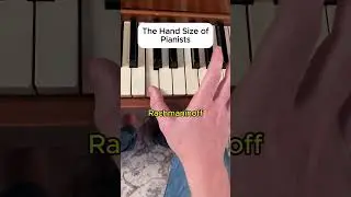 The hand size of pianists&hellip;#piano #pianolessons #learningpiano #pianomasterclass #writemusic
