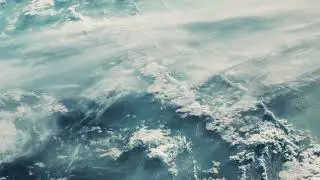 earthmind B-Bird