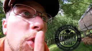 What Happened at the Modern Homestead