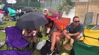 Bees swarm near the Gentilly Stage at Jazz Fest 2018
