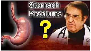 &ldquo;Inside the Human Stomach: Amazing Facts & Digestive Secrets! 🥗🧬&rdquo;@healthtips
