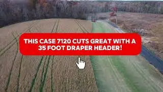 Cutting beans with the Case IH 7120!