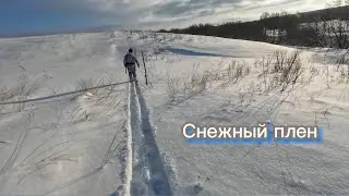 snow captivity.  По снегу на сломанной лыже, январь 2026