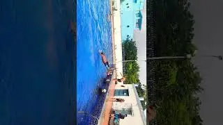 Amateur Divers Failing in Style 😂💦 Fun Pool Moments #Shorts #AmateurDiving #PoolFails #FunnyMoments
