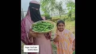 আলহামদুলিল্লাহ আমার সবজি বাগান থেকে অনেকগুলো সবজি তুলে নিলাম❤️