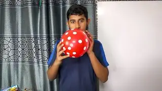 Indoor Fun with Dot Balloon and Learn Colors Balloon Show Max