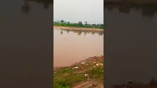 Koel river Vaikuntha ghat#Sector20#beautiful Please#