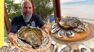 Dibba Bay Oysters مزرعة محار في البحر