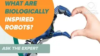 What Are Biologically Inspired Robots | Ask the Expert | Sharecare