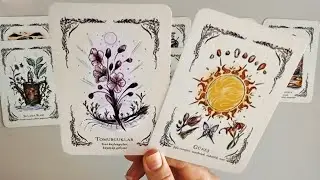 Seninle Gerçekten Ne Yaşamak İstiyor ⁉️Ne Yapmaya Çalışıyor ⁉️