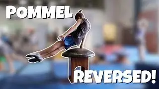 Pommel Reversed Looks The Same As Pommel Not Reversed.