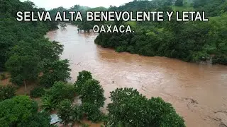 Las IMPLACABLES INUNDACIONES de la selva || Oaxaca indomable. (1/2)