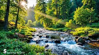 Beautiful Relaxing Music &ndash; Soothing Forest Melodies