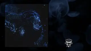Laang 冷 - Xinteng 心疼 (Full Album Stream) | Talheim Records