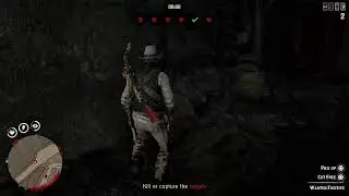 Rdr online live