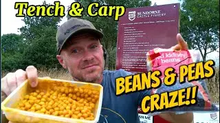 Carp & Tench on Chickpeas & Kidney Beans! #UnusualFishing #UnusualBaits 😉🤫😲😀
