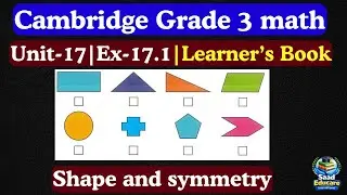 Cambridge Primary Mathematics Learner&rsquo;s Book 3 Solutions | Ex 17.1 Shape & Symmetry