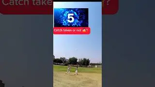 Catch taken or not 🤔🏏? #cricket #goprocricket #shorts  #lifewithasharib #reels #viral