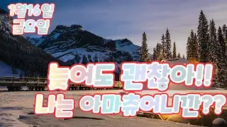 1월16일 늦어도 괜찮아!!나는 아마츄어니깐??