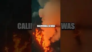 AI in Disaster Management