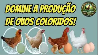 DESCUBRA O SEGREDO PARA MISTURAR AS NOVAS LINHAGENS COM PERFEIÇÃO!