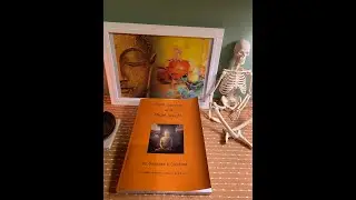 Dealing with Pain in Samādhi Practice (Right Samādhi and Right Insight in Sayadaw U Candima's Teach
