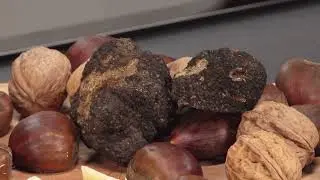 Le Ricette di G. Esposito - Linguine spezzate, brodo di cipolla e parmigggiano al tartufo