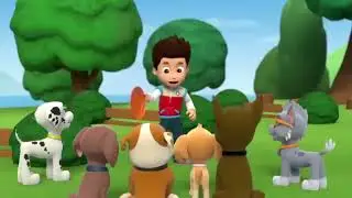 Paw Patrol Cartoon full episode. Full episode in Hindi 