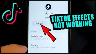 TikTok Effects Not Working Android