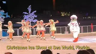Christmas Ice Show at Sea World Florida #christmas #iceshow #seaworld #florida