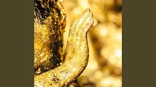 Echoes of Compassion
