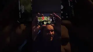 Alien Fucker - Birth Sex Death | Album Reaction