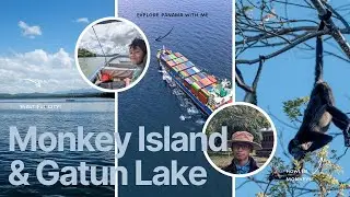 Monkey Island & Gatun Lake Tour in Gamboa, Panama